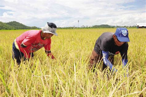 CARP key to raising farmer's living condition, winning .